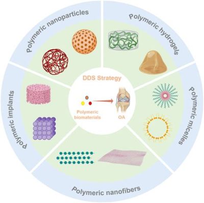  Zein: Unleashing the Power of Sustainable Protein Biomaterials in Advanced Drug Delivery Systems!