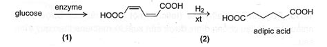  Adipic Acid: Chìa Khóa Cho Sự Bền Bỉ Của Nylon và Hạt Nhựa!