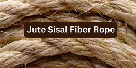 Jute Fiber: Unraveling the Wonders of This Versatile Biomaterial for Textile and Paper Industries!