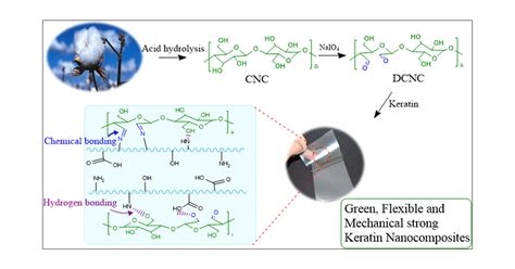 Keratin: A Natural Wonder for Sustainable Biocomposites and Packaging Solutions!