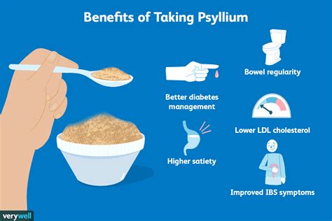  Psyllium: Ứng dụng Thật Lợi trong Công Nghệ Thực Phẩm và Dược Phẩm!