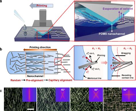  Wolframite Nanowires:  Unlocking Revolutionary Potential in Optoelectronics and High-Performance Computing!